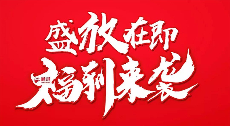 再拓疆域！鵬鴻We+定制&紅星美凱龍聯(lián)袂亮相烏魯木齊